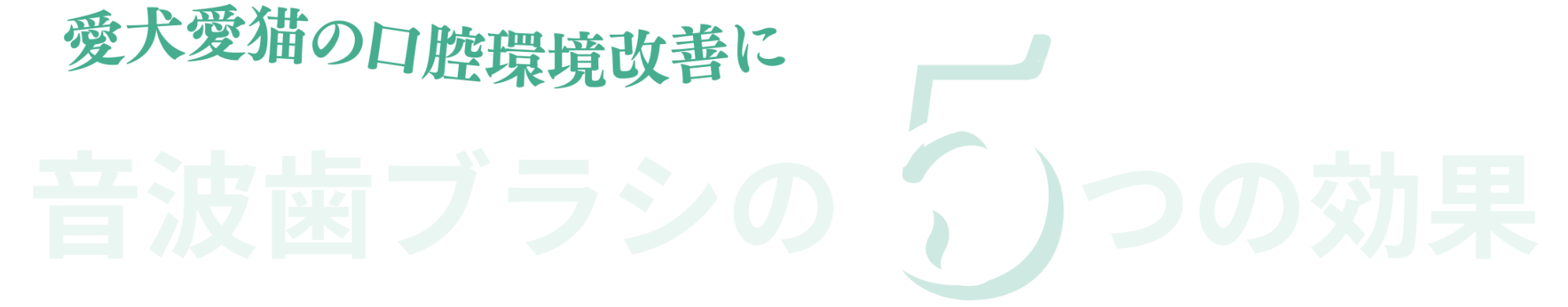 音歯ブラシの5つの効果
