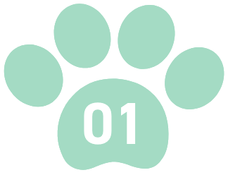 01