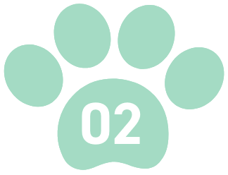 02