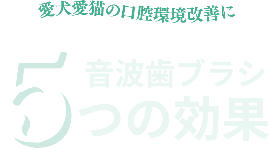 音歯ブラシの5つの効果